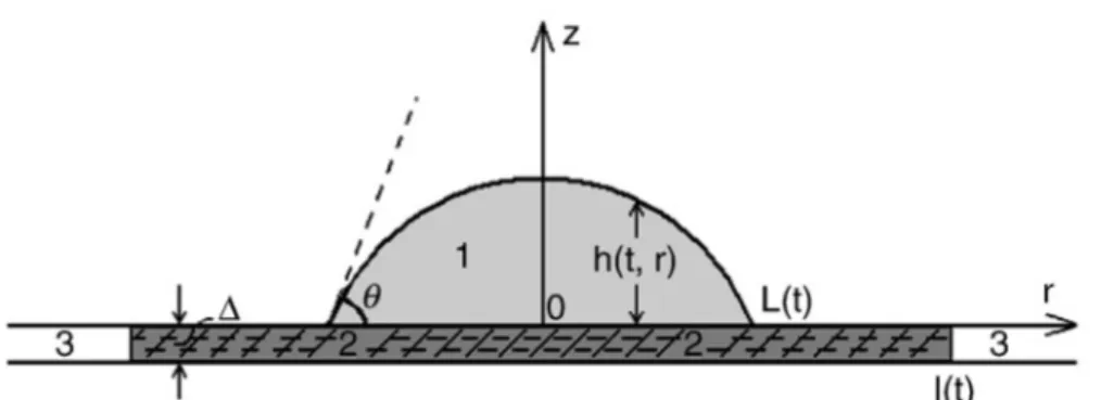 Figura 17 – Esquema do processo de espalhamento de um líquido sobre uma superfície porosa (Starov, 