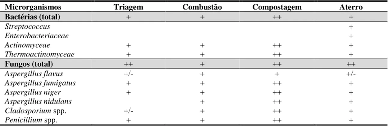 Tabela  4  –  Microrganismos  aéreos  nas  várias  etapas  de  tratamento  de  resíduos  [adaptado  de  (European Agency for Safety and Health at Work., 2007)] 