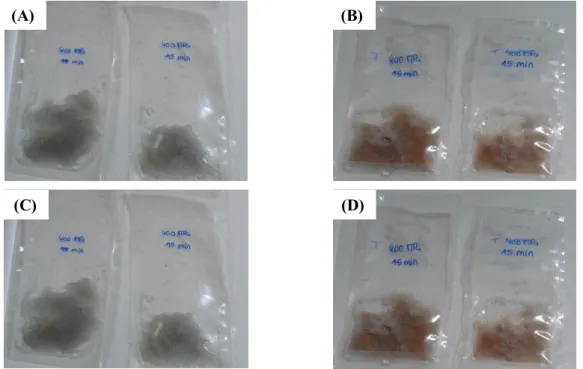 Figure 2. Visual aspect of slime samples: (A) non-treated; (B) heat treated (60 °C,   15 min), before pressurization; (C) pressure treated (400 MPa, 15 min); (D) heat 
