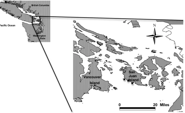 Figure 1. Study area, with stars indicating from West to East, approximately, the location of  County Park, Land Bank and Hannah Heights, respectively