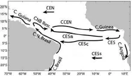 Figura 8: Corrente superficial do oceano Atlântico Tropical:  Corrente Equatorial Norte (CEN), Contra-Corrente Equatorial  Norte (CCEN), Corrente Equatorial Sul (CES) e suas  ramificações norte (n) central (c) e sul (s) (Lumpkin &amp;  Garzoli, 2005)