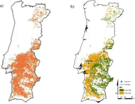 Figure 1.8 - a) Montado distribution (Vizinho, 2015) and b) Holm Oak (Green) and Cork Oak (Yellow) distributions in Portugal  (Crous-Duran, et al., 2014) 