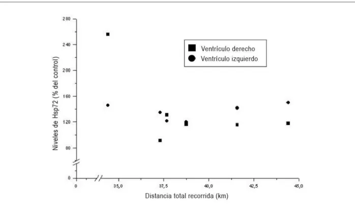 Figura 2 - Dispersión correspondiente a los niveles de Hsp72 en los ventrículos izquierdo (VI) y derecho (VD) de ratas Wistar entrenadas con carrera voluntaria versus  distancia total recorrida