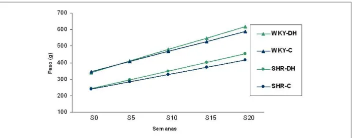 Figura 1 - Modelos de regresión lineal del peso corporal en función de las distintas semanas   S0: momento inicial; S5: 5a semana; S10: 10a semana; S15: 15a semana  y S20: 20a semana.
