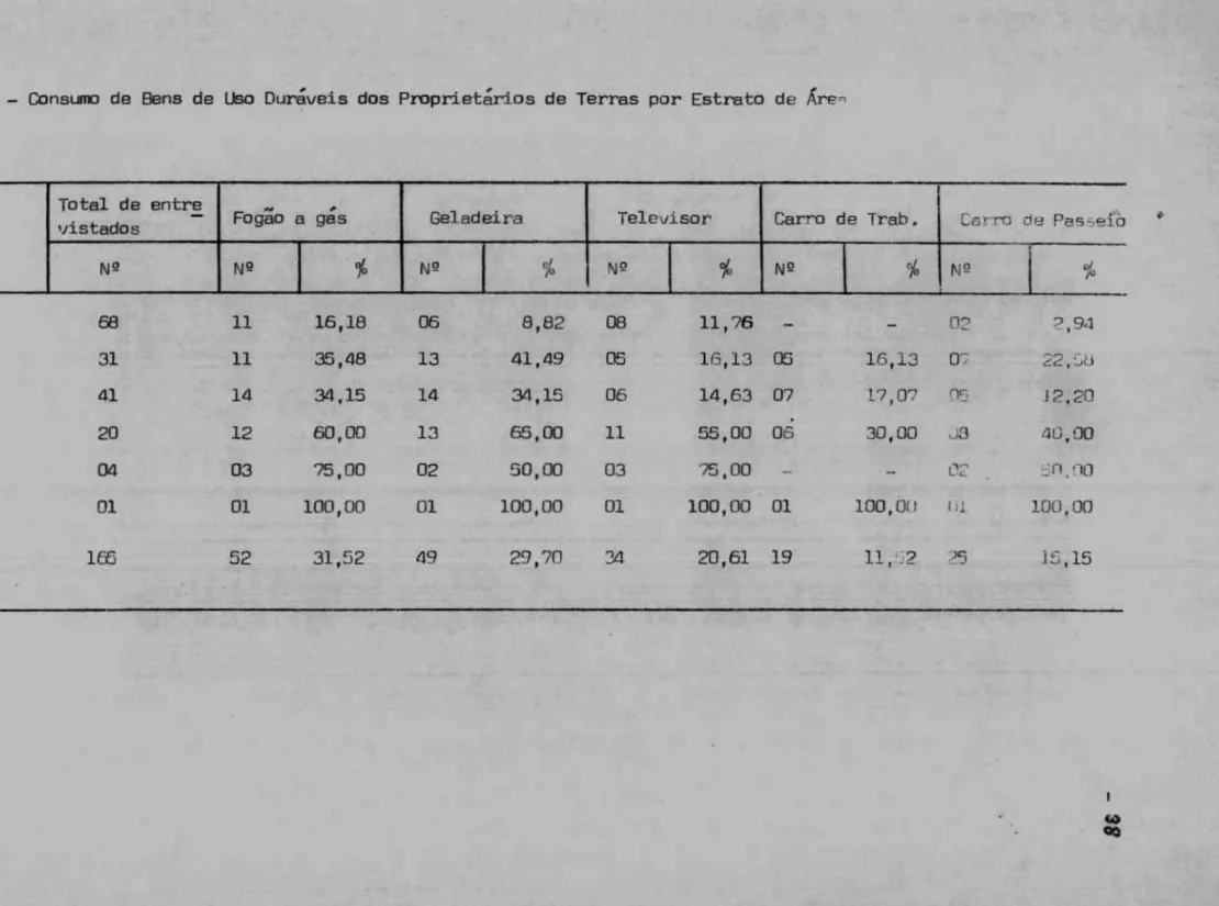 Tabela  n&#34;  4  - ConsLl11J  de  Bens  de  Uso  Duráveis  dos  Proprietários  de  Terras  por  Estrato  de  Áre n 