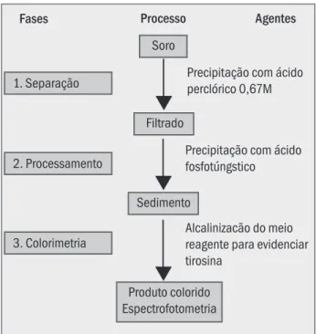 Figura 1 – Fases do procedimento analítico para quantificacão das mucoproteínas