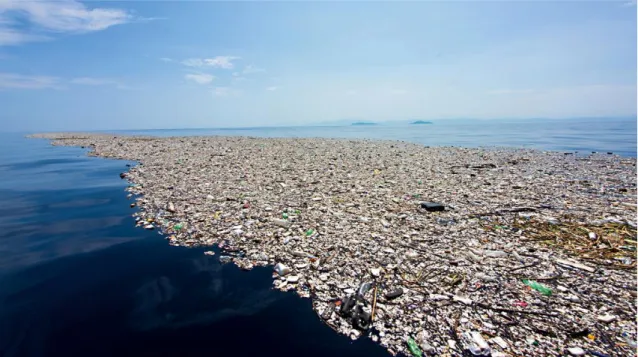 Figura 11. Grande Ilha de Plástico do Oceano Pacífico. 