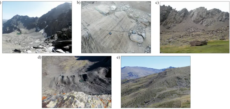 Fig. 6. Examples of periglacial features in Sierra Nevada formed during different stages: (a) sorted-circles developed during the Last Glaciation; (b) rock glaciers formed during the deglaciation; (c) active protalus lobes at present; (d) soliﬂuction lobes