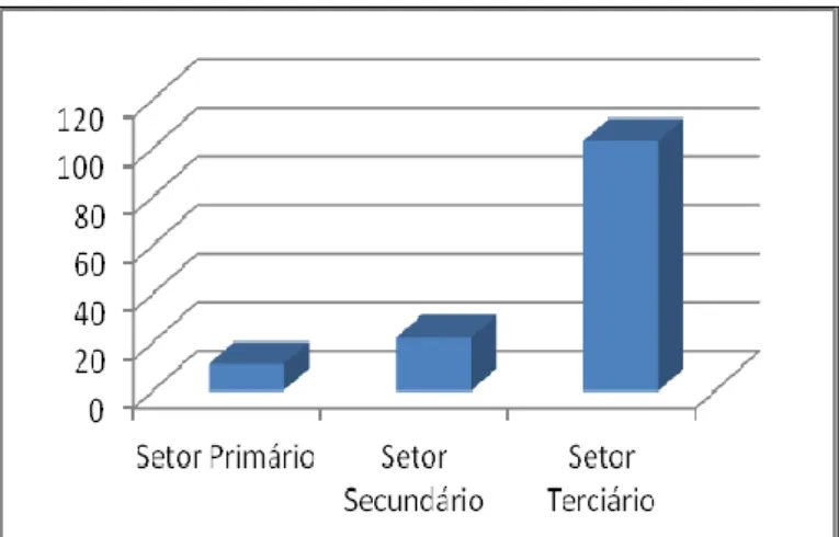 Fig. 18: Distribuição da população de Santa Maria por setor de atividade em 2011. 