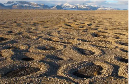 Figure 7. Sorted circles 2–3 m in diameter with gravel borders about 0.25 m high, Broggerhalvoya, NW  Spitsbergen (Hallet, 2013)