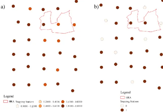 Figure 4.2 - Mongoose distribution predicted by the best models (a) and actual distribution across all area (b)