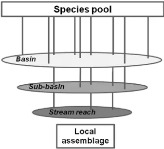 Figure 1.2 The ‘filtering’ of species with certain attributes by landscape constraints, from broader to finer  scales, resulting into the subset of species comprising the local assemblage