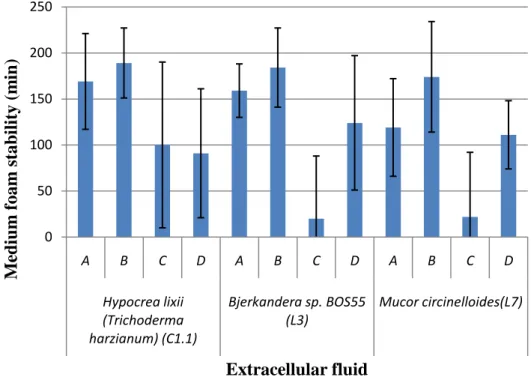 Figure 3.2. Stability of the foam obtained from the extracellular fluid. A: Extracellular  fluid  with  agitation treatment; B:  Extracellular fluid  with  agitation and heat  treatment; 