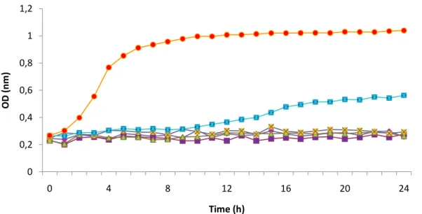 Figure 3.12. Inhibition growth curves obtained for control sample (Quitoral elixir) upon  C