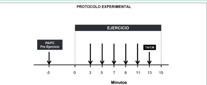 Figura 1 -  Protocolo experimental. La primera lecha representa la medición de PA y FC antes del inicio del ejercicio, las lechas siguientes representan los momentos  en que se media la PA por el esigmomanómetro digital, y la última lecha representa el mom