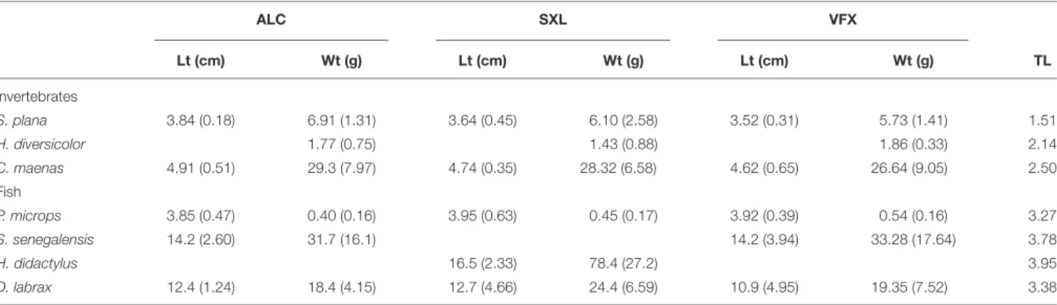 TABLE 2 | Mean (and standard deviation) of length (Lt in cm), and weight (Wt in g) of invertebrates and fish sampled per estuarine site (ALC, SXL, and VFX).