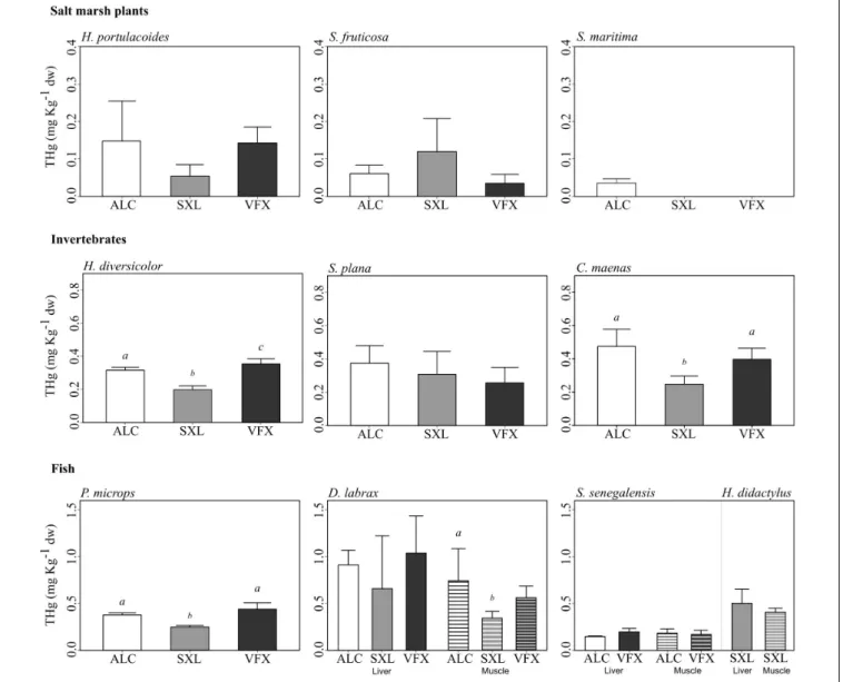 FIGURE 2 | Mean total mercury (THg) concentration (mg kg −1 dry weight) and standard deviation in salt marsh plants, invertebrates and fish species collected in three sites in the Tejo estuary (n = 3 to 5 replicate samples per species, tissue and site)