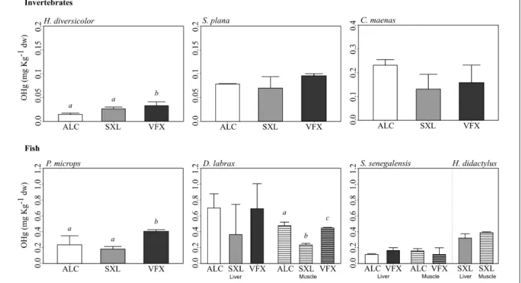 FIGURE 3 | Mean organic mercury (OHg) concentration (mg kg −1 dry weight) and standard deviation in invertebrates and fish species collected in three sites in the Tejo estuary (n = 3 replicates per species, tissue and site)