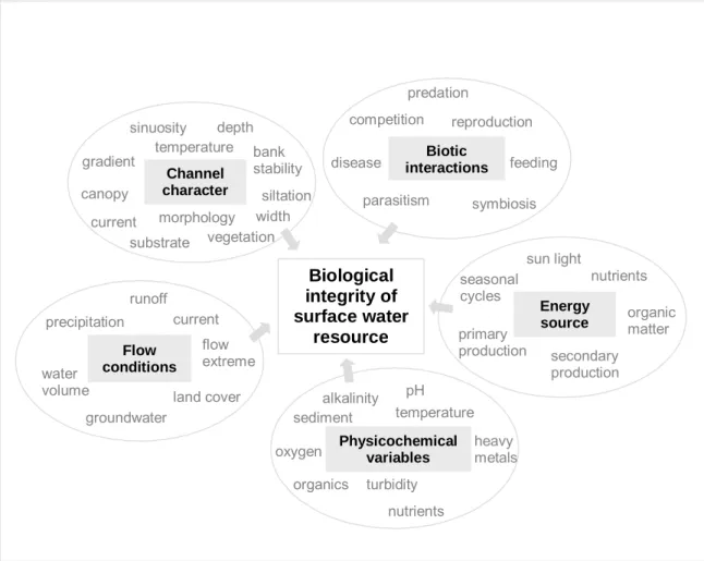 Figure 1.1  - Five main components of surface water resources and some of their factors that might be changed by  human action (modified from Karr et al., 1986)