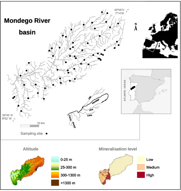 Figure 1.3 -  Geographic position of the MRb with detailed location of main tributaries and of all sites sampled during  the present thesis