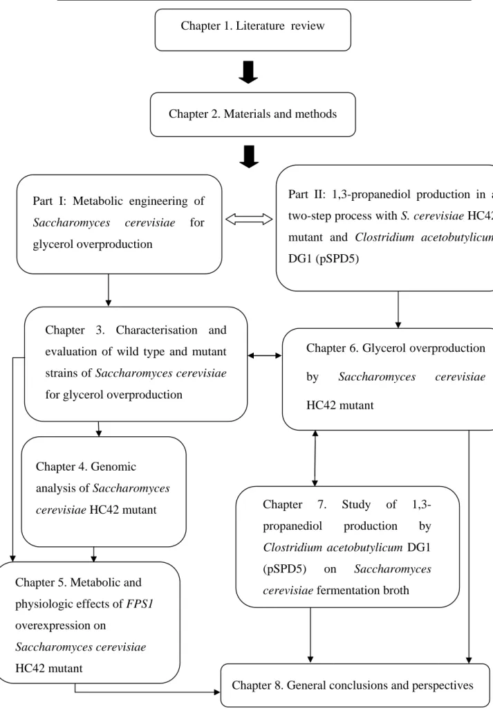 Figure 1. Diagram representing the outline of the thesis. 