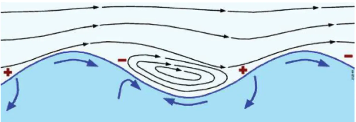 Figura 4 - Esquema representativo do modelo do “escudo” de desenvolvimento  das  ondas