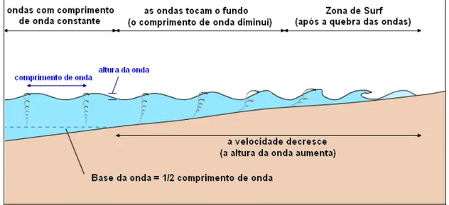 Figura  6  -  Trajetórias  descritas  pelas  partículas  da  água  sob  a  ação  de  uma 