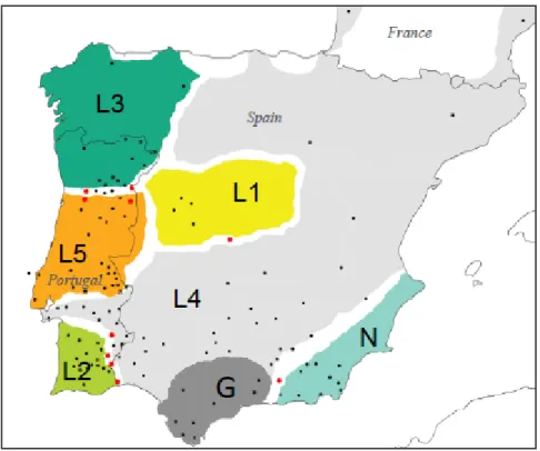 Fig.  7 Geographical  distribution  of  Lacerta  lepida  mitochondrial  clades  as  inferred  from  cytochrome  b  sequences  (adapted  from  Miraldo  et  al