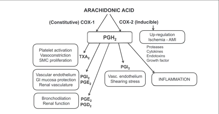 Figure 1 - Schematic representation of the effects related to the COX-1 and COX-2 activation