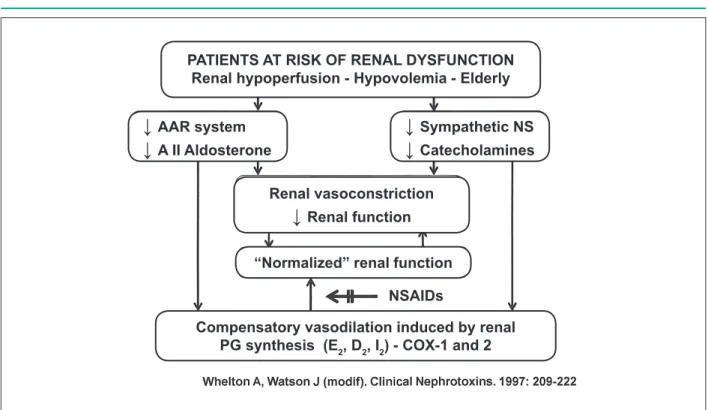 Figure 4 - Schematic representation of the effects of NSAIDs in the blocking of compensatory actions induced by prostaglandins in the presence of kidney dysfunction