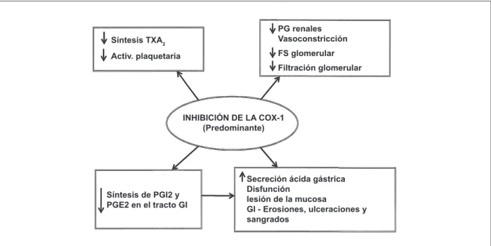 Fig. 2 - Representación de los efectos relacionados a la inhibición de COX-1. COX - ciclo-oxigenase; PG - prostaglandina; TX - tromboxano; GI – gastrointestinal.