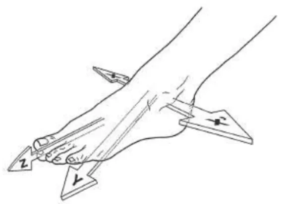 Figura 9 - Representação esquemática dos eixos do complexo articular do pé [Kapandji, 2000] 