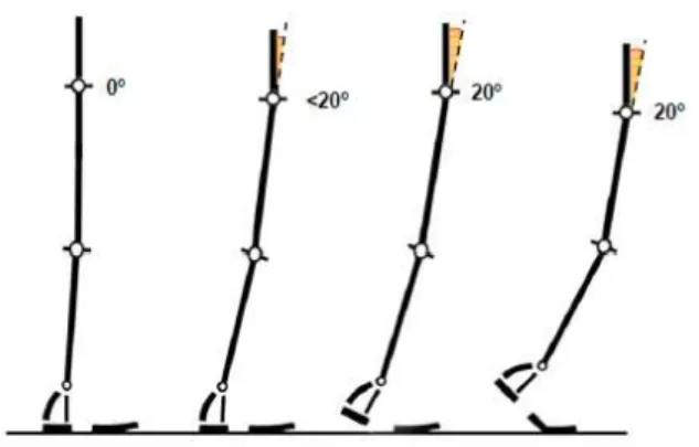 Figura 22 - Estudo cinemático da articulação da anca da fase  de apoio médio até à decolagem do pé  do solo  [Luna, 1999]  
