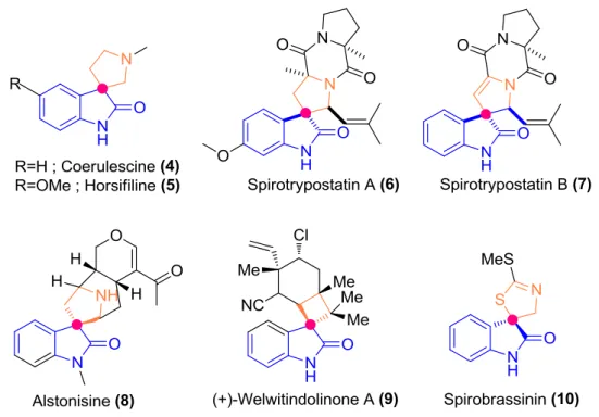 Figure 1.5 - Spiro-fused oxindole motifs from nature emphasized their key moieties with two different  colors (blue and orange), pink points indicate spiro carbons