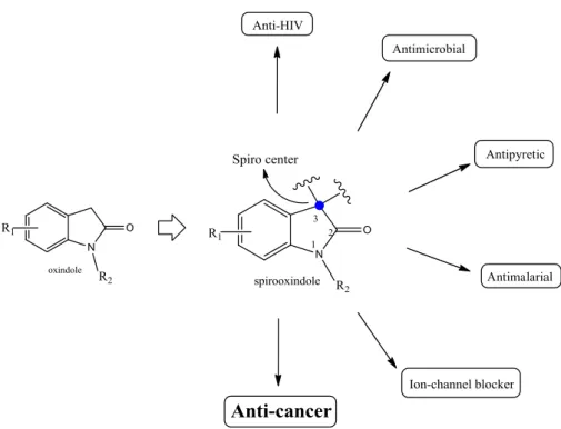 Figure 1.6 - Spirooxindole core structure and its wide range of biological activities