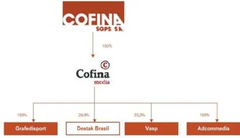 Figura 2 - Estrutura orgânica da Cofina 2017 