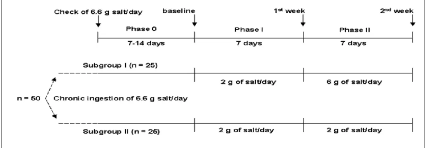Figure 1 - Design of the study.
