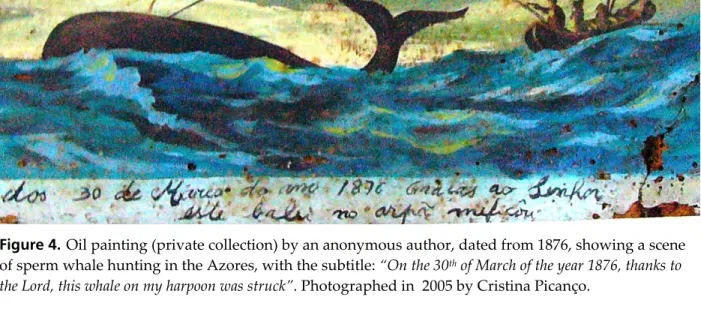 Figure 4.  Oil painting (private collection) by an anonymous author, dated from 1876, showing a scene  of sperm whale hunting in the Azores, with the subtitle: “On the 30 th  of March of the year 1876, thanks to  the Lord, this whale on my harpoon was stru