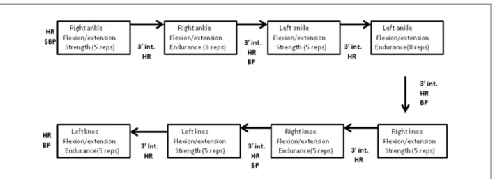 Figure 1 - Design of the experimental protocol. HR - measurement of Heart Rate; BP - measurement of blood pressure; int - interval.