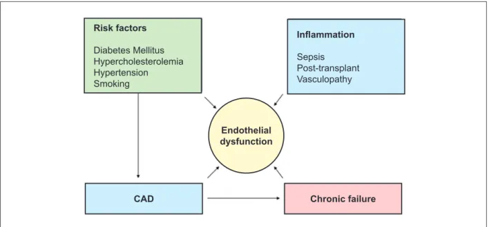 Figure 1 - Association between endothelial dysfunction, coronary artery disease (CAD), risk factors, inlammation.