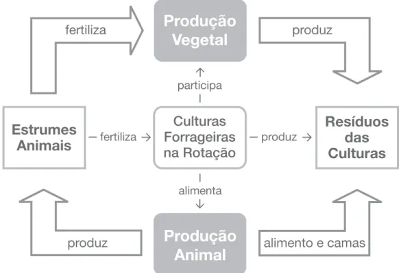 Figura 3. Ciclo de produção de ovinos na Quinta da França.