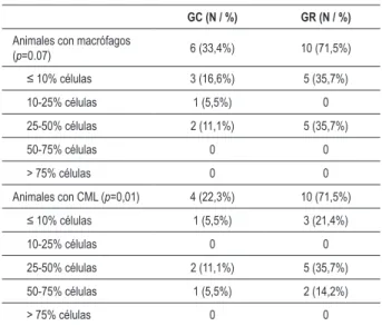 Tabla 3 - Porcentaje de macrófagos y células musculares lisas  (CML) en la capa íntima de la arteria ilíaca contralateral