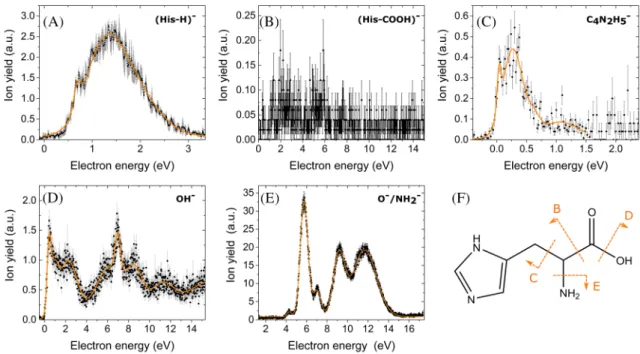 FIGURE 4 Ion yields (black dots and error bars) and cumulative multiple asymmetric Gaussian fit (orange line) of the experimentally observed dissociation channels