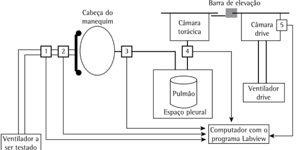 Figura E1 - Representação esquemática do modelo pulmonar. Os transdutores de fluxo e pressão são  identificados por números: (1) transdutor de fluxo proximal; (2) transdutor de pressão proximal; (3) transdutor  de fluxo distal; (4) transdutor de pressão pl