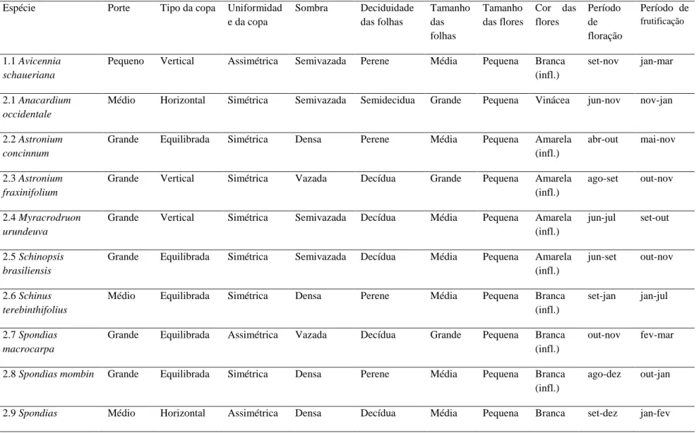 Tabela 4: Caracterização das espécies arbóreas nativas do Rio Grande do Norte com uso já difundido e suas respectivas descrições dos elementos de valor ornamental