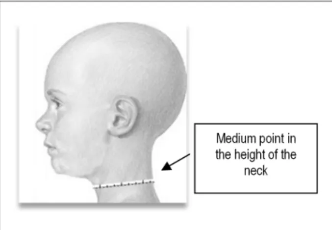 Figure 4 - Ilustração do local anatômico utilizado para a aferição do perímetro  do pescoço.