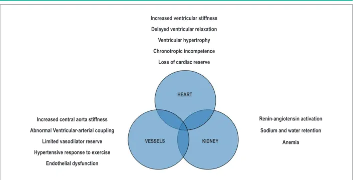 Figure 2 - Potencial Pathophysiological mechanisms involved in HFpEF.