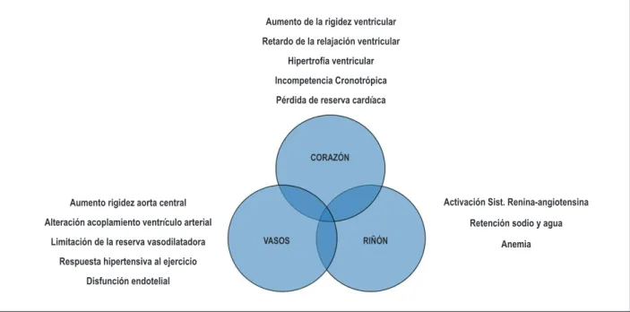 Fig. 2 - Potenciales mecanismos isiopatológicos envueltos en la isiopatología de la ICFEP.