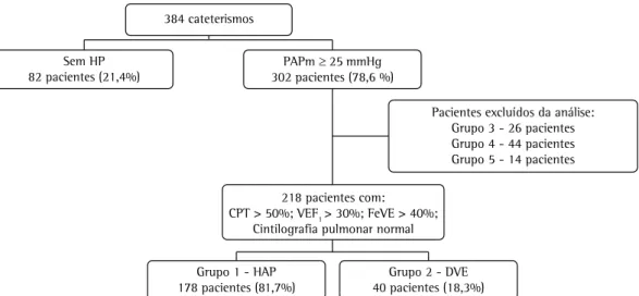 Figura 1 - Fluxograma de avaliação dos pacientes.  HP: hipertensão pulmonar, PAPm: pressão média de  artéria pulmonar; FeVE: fração de ejeção do ventrículo esquerdo; HAP: hipertensão arterial pulmonar; e  DVE: disfunção ventricular esquerda.