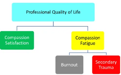 FIGURA 7: Diagrama de Qualidade de Vida Profissional 